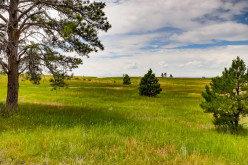 Kiowa Land